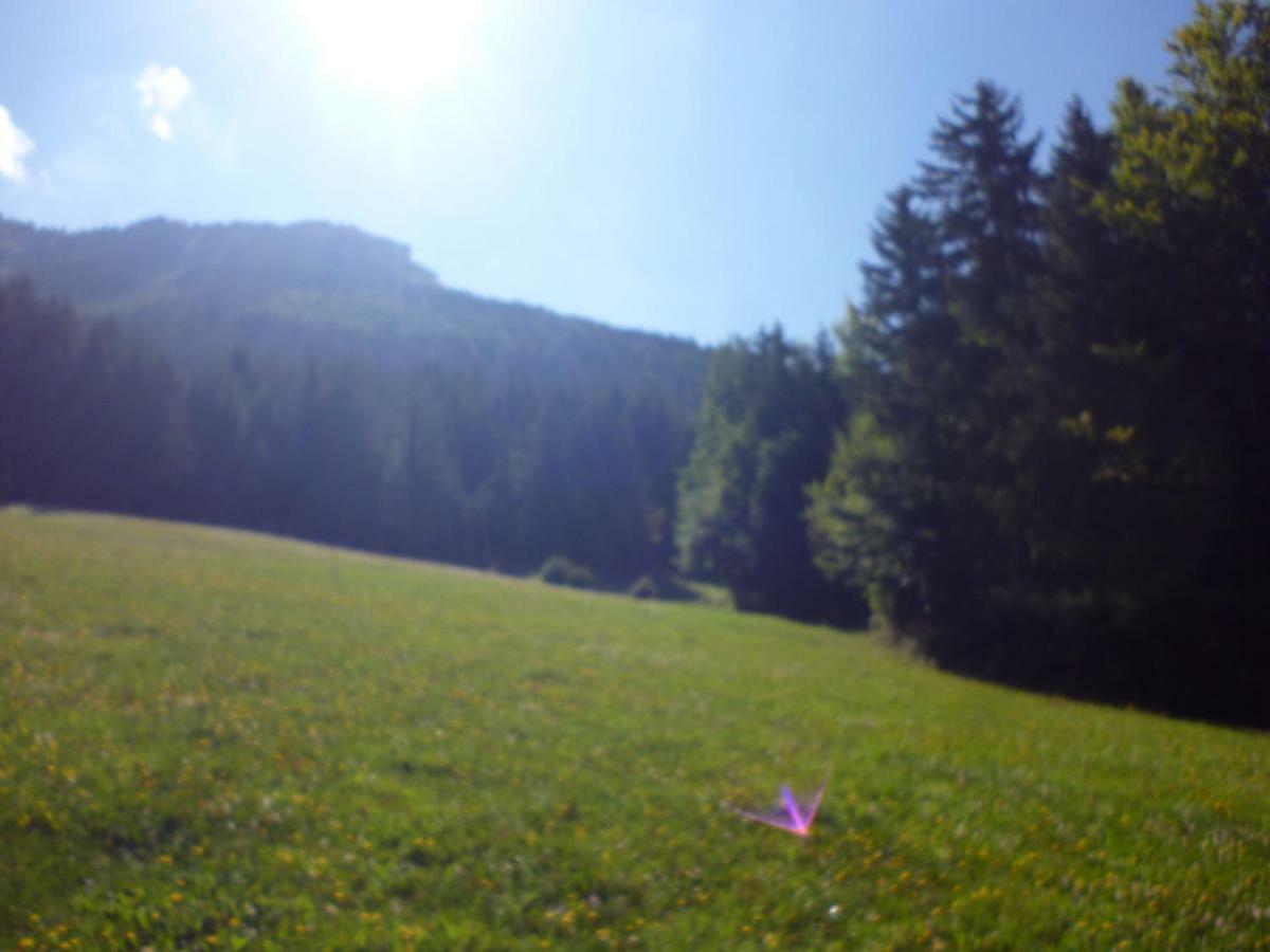 Le Chalet De La Conversaria Bed & Breakfast Villard-de-Lans Dış mekan fotoğraf